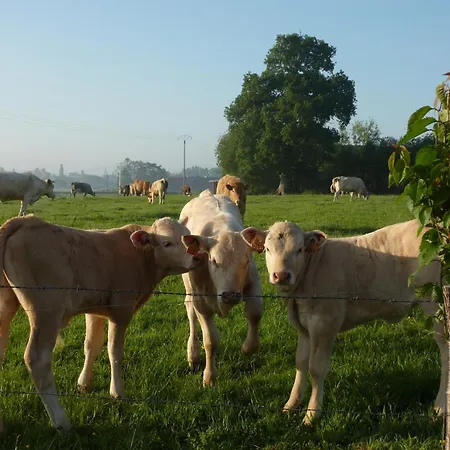 Le Petite Ecurie Σπίτι διακοπών *