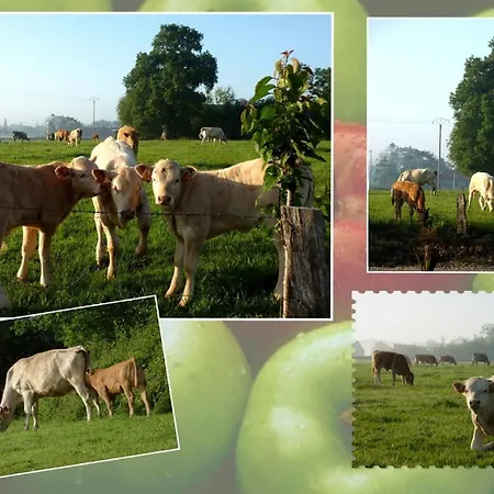 Le Petite Ecurie Terre-et-Marais