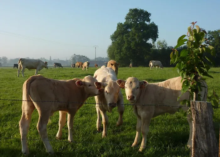 Le Petite Ecurie בית נופש *