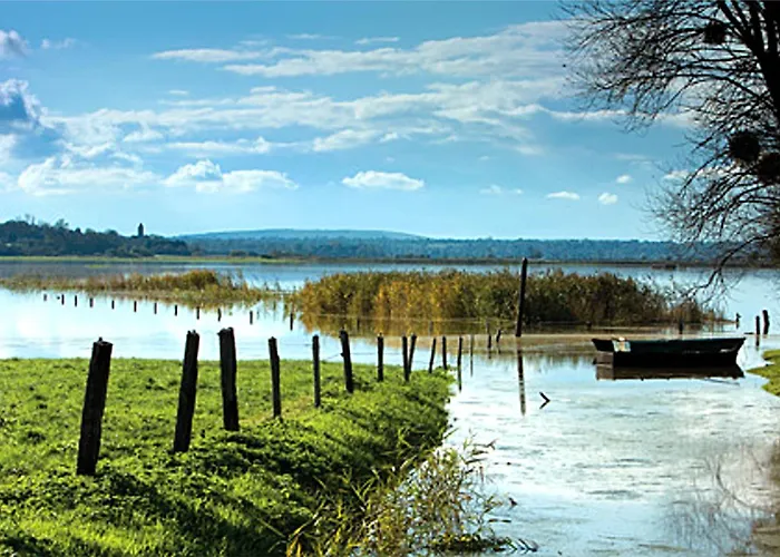 בית נופש Le Petite Ecurie Terre-et-Marais