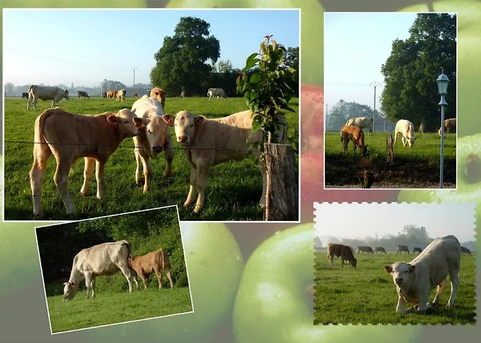 Le Petite Ecurie Terre-et-Marais